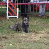 foire-haricots 2011-09-17et18